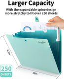 Expandable File Folder, Letter Size Organ Organizer, 5 File Pockets, Portable Organizer for School Office Supplies