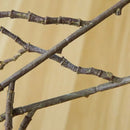 46cm Artificial Plant Mini Milan Leaves Money Leaf Wedding Home Decoration Eucalyptus Leaf Fake Flower Fake Leaf Green Plant