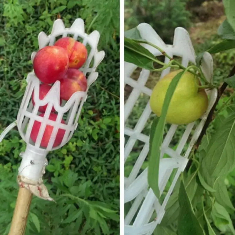 Garden Basket Fruit Picker Head Plastic Fruit Picking Tool High-altitude Fruit Picker Picking Loquat Picking Bayberry Tool 1pc