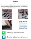6D 10D Promade 500/1000 Fans Pointy Base Blue Purple Color Ultra Speed New Trend  Premade Volume Eyelashes Extension Makeup Tool
