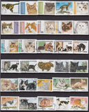 Cats Pets Animals 50 100 Pcs/lot Topic Stamps World Original Postage Stamp with Postmark Good Condition Collection No Repeat