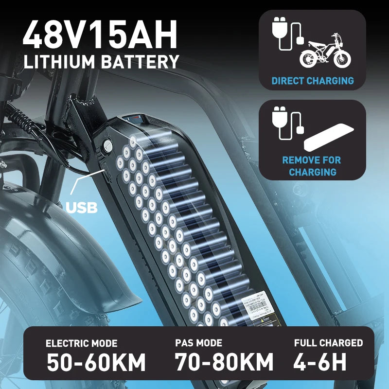 BURCHDA FXH-009 750W45KM/H Electric Bicycle 48V15AH Lithium Battery 20 Inch 4.0 Fatbike Dual Shock Absorption Adult Motorcycle