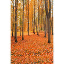Autumn Landscape Backdrop Fall Forest Maple Fallen Leaves Nature Scenery Harvest Thanksgiving Portrait Photography Background