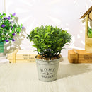 Artificial Plant Bonsai Creative Grass Ball Green Fake Plant Flower Potted Ornaments for Home Room Table Garden Decoration Gifts