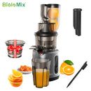 The Vital Press | 200W Slow Masticating Cold Press Juicer