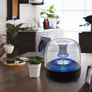 True Wireless Stereo Bluetooth Lautsprecher mit transparentem Design, atmendem LED-Licht, TWS Bluetooth 5.0, TF-Karte & FM-Audio-Lautsprecher