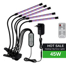 The Sunforge | Full-Spectrum USB LED Grow Light for Indoor Plants