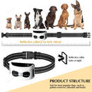 The Boundary Keeper | Intelligent Wireless Pet Containment System for Up to 3 Dogs