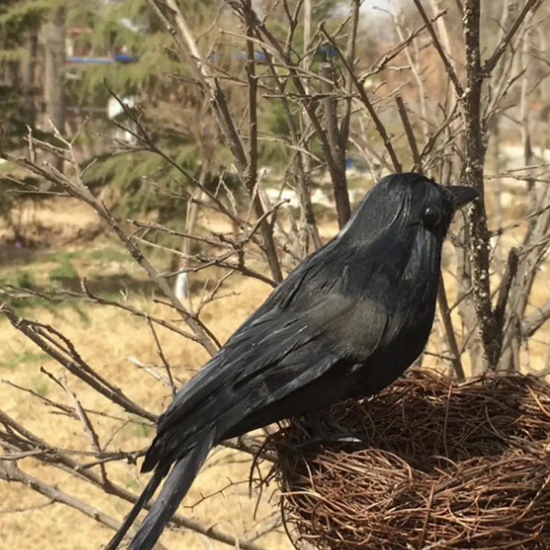 Simulation Black Crow Raven Bird Repellent Pest Control Halloween Artificial Crow Raven Prop Horror Scary Garden Decorations