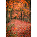 Autumn Landscape Backdrop Fall Forest Maple Fallen Leaves Nature Scenery Harvest Thanksgiving Portrait Photography Background