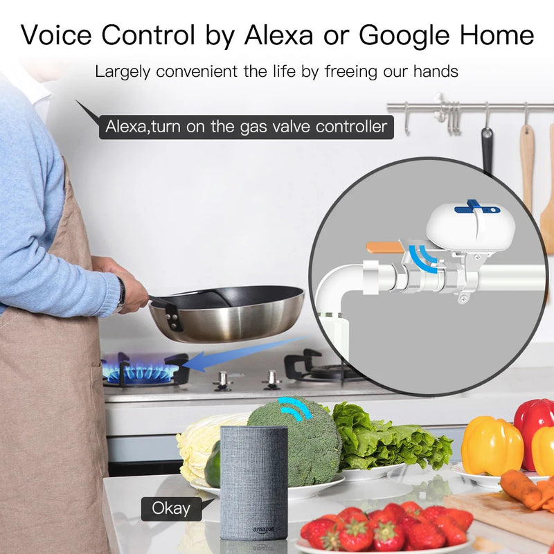 Tuya Smart WiFi/ZigBee Water Gas Pipeline Auto Shut OFF Valve Controller Smart Life APP Remote Control With Alexa Google Home