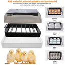 The Genesis Chamber | 12-Egg Digital Incubator with Intelligent Auto-Turning