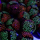 130*220cm Let Glow Birthday Party Disposable Waterproof Tablecloth Wedding Supplies Children Adult Party Theme Supply