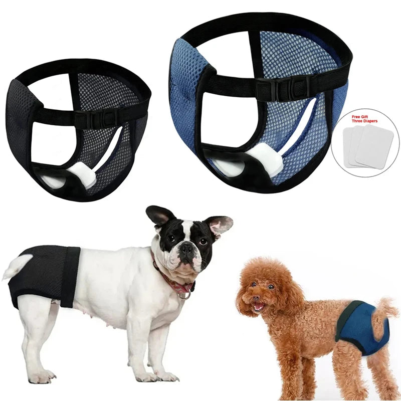 Pets Physiological Washable Menstruation Briefs Dog Leak Proof Hygiene Kecks Panties for Small Large Dogs Pet Sanitary Underwear