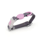 Transparent Buckle Collar Candy Color Pet Cat Dog Collars Leashes For Small Medium Dogs