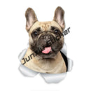 45340883517663|45340883583199|45340883615967|45340883648735|45340883681503