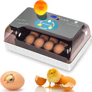The Genesis Chamber | 12-Egg Digital Incubator with Intelligent Auto-Turning