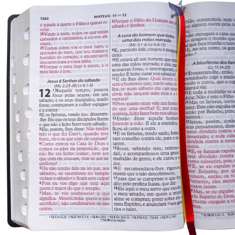 Holy Bible Lt Extragigant ARC Black Lateral Index