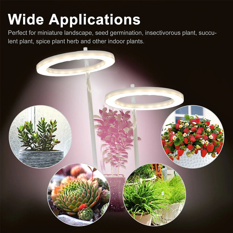 LED Plants Grow Light Full Spectrum Growing Lamp Dimmable for Home Indoor Plant Lighting Timer Adjustable Potted Care Accessory