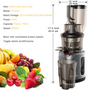 The Vital Press | 200W Slow Masticating Cold Press Juicer