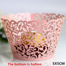 44569657901279|44569657934047