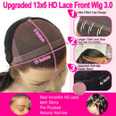 WowAngel 250% Upgraded 13x6 HD Lace Frontal Wigs Glueless Straight Human Hair Wigs Pre Plucked Natural Scalp Brazilian Hair