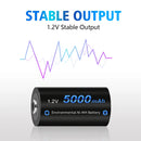 CITYORK 1.2V C Size Battery Ni-MH LR14 Rechargeable Batteriy For Gas Cooker Car Toy Flashlight Radio Low Self Discharge C Bateri