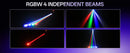 The Beamwright Duo | 30W RGBW Moving Head Stage Lights, Pair