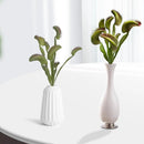 1 Branch Artificial Plant Non-fading Decorative Plastic Artificial Flytrap Grass Plant Home Party Desktop Decoration for Balcony