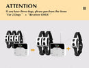 The Boundary Keeper | Intelligent Wireless Pet Containment System for Up to 3 Dogs