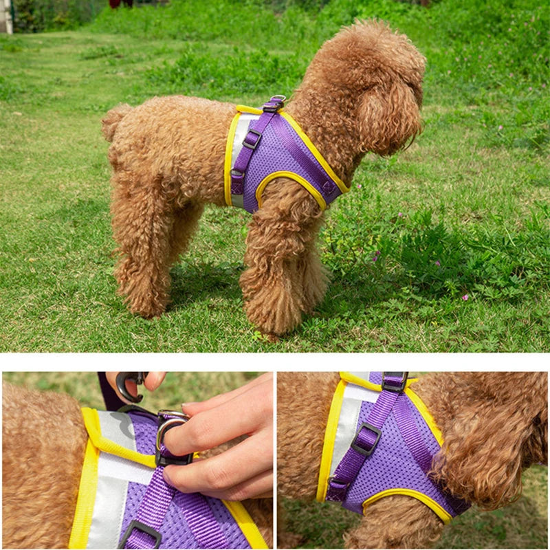 Dog Harness Vest Set for Small Medium Dog Harness Leash Puppy Cat Reflective Chest Strap Chihuahua Yorkies Walking Lead Leash