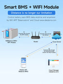 Daly BMS 4S 8S 10S 13S16S 17S 24s Smart bms wifi Active balance BT 200A 100A 150A Lifepo4 Li-ion bms lifepo4 German US Shipping