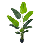 The Verdant Muse | 180 cm Silk Bird of Paradise in White Pot