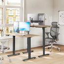 WOLTU Höhenverstellbares Stehpultgestell Elektrisches Hebetischgestell mit USB-Ladeanschluss und Speichersteuerung für das Home Office