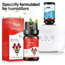 10ml Car Aromatherapy Supplement Liquid Plant Essential Oil Humidifier Aromatherapy Machine Specific Water Soluble Essential Oil