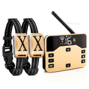 The Boundary Keeper | Intelligent Wireless Pet Containment System for Up to 3 Dogs