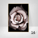 44468948173023|44468948205791|44468948238559|44468948271327|44468948304095|44468948336863