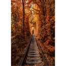 Autumn Landscape Backdrop Fall Forest Maple Fallen Leaves Nature Scenery Harvest Thanksgiving Portrait Photography Background