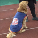 45315499327711|45315499360479|45315501228255|45315501261023|45315501293791|45315501326559|45315501424863