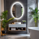 LUVODI 60x80cm Oval Bathroom Mirror LED Backlit Wall Vanity Mirror for Bathroom Bedroom Salon