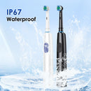 The Circadian Brush | Rotation-Type Sonic Electric Toothbrush IPX7 USB Rechargeable
