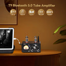 AIYIMA T9 HiFi Bluetooth 5.0 Röhrenverstärker USB DAC Stereo-Verstärker COAX OPT Heim-Audio-Endstufe VU Meter 100W