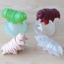 Japan Original Kawaii Gashapon Figure Anime Water Bear Figurine Tardigrade Cute Capsule Toys Miniature Doll Decor Gift