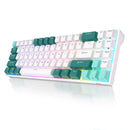 RK ROYAL KLUDGE RK71 Tri-Mode Mechanische Tastatur 2,4G Kabellos Bluetooth RGB Hintergrundbeleuchtet Hot-Swap-fähig Gamer-Tastatur PBT-Tastenkappen