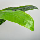 Homcom Artificial Banana Tree 150 cm with Pot and 18 Leaves for Home Decoration