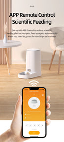 ROJECO Smart Nourish | 4L Intelligent App-Controlled Pet Feeder