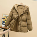 44474051264735|44474051297503