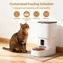 The Steward | 4L Programmable Automatic Pet Feeder