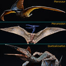 Simulation Jurassic Dinosaur Action Figures Pterosaur Quetzalcoatlus Tiere Modell Figuren Heimdekoration Spielzeug Kindergeschenk