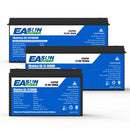 The Power Vault | 12V/24V LiFePO4 Battery 100-300Ah with Built-in BMS for Solar & RV